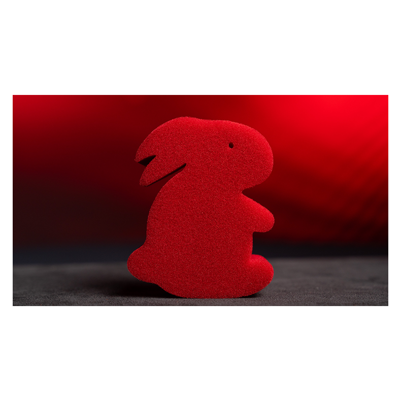 Magic Sponge Bunny Rabbit Set (Red)