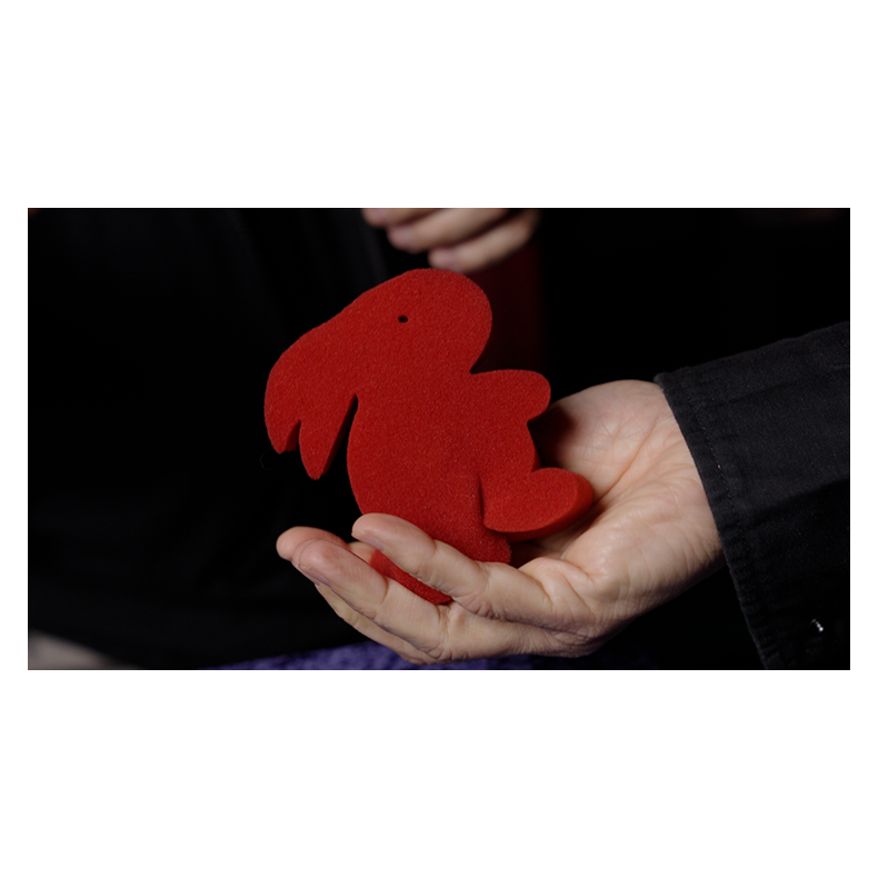 Magic Sponge Bunny Rabbit Set (Red)