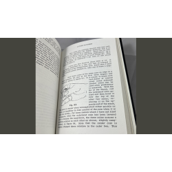 Wonderful Routines of Magic by Ellison Poland