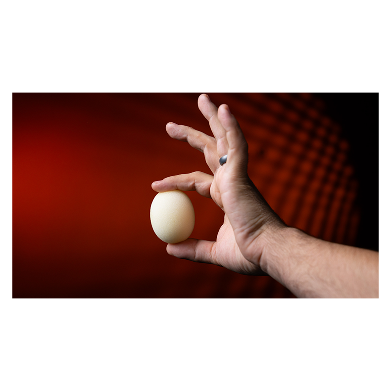 Magic Sponge Egg 4pk