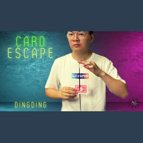 The Vault - Card Escape by Dingding video DOWNLOAD