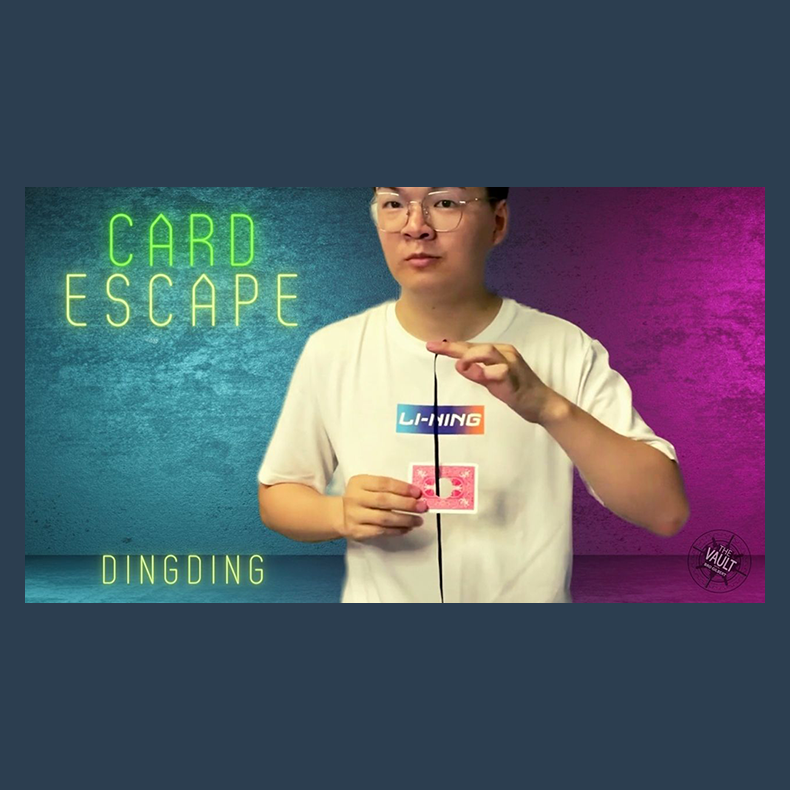 The Vault - Card Escape by Dingding video DOWNLOAD