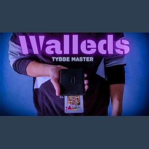 Walleds by Tybbe Master video DOWNLOAD