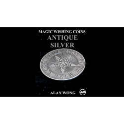 Magic Wishing Coins Antique Silver (12 Coins) by Alan Wong 