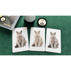  Art Prediction by N2G and Kaifu Wang 