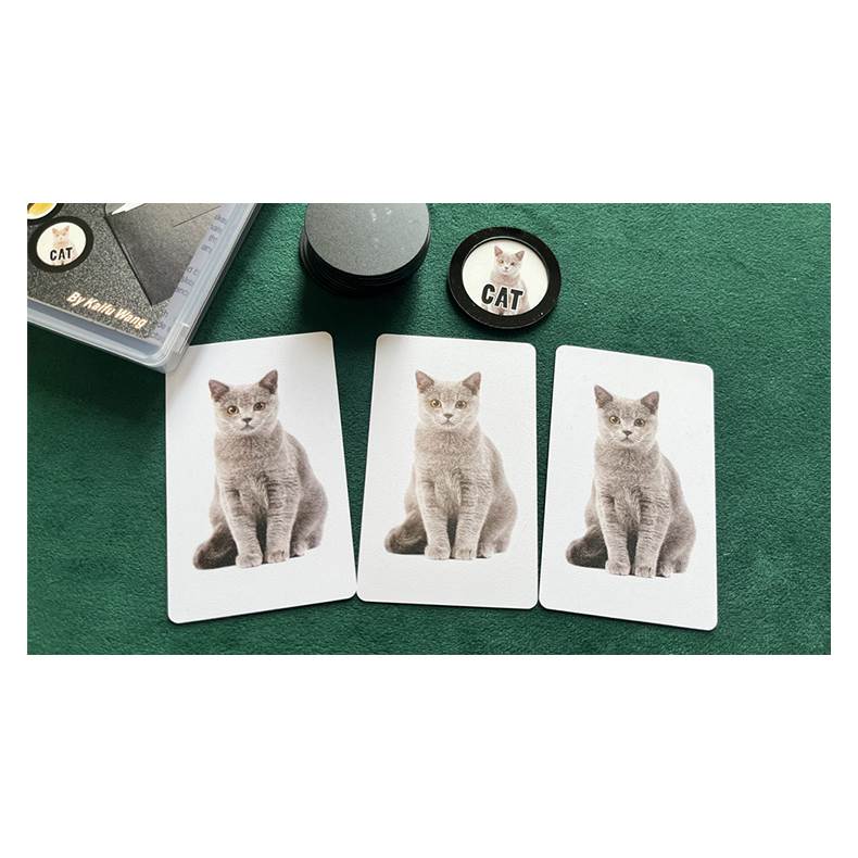  Art Prediction by N2G and Kaifu Wang 