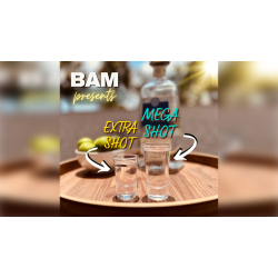 Mega Shot by Bill Abbott