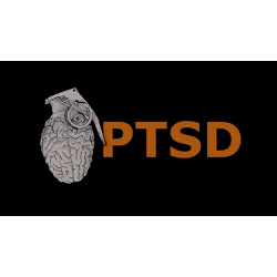 PTSD by Mark Lemon