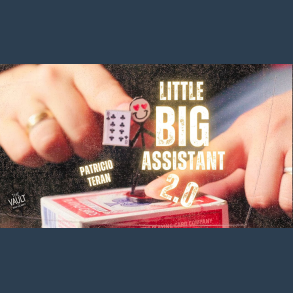 The Vault - Little Big Assistant 2 by Patricio Teran video DOWNLOAD