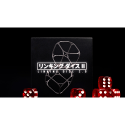 Linking Dice 2.0 by Nobuyuki Nojima Presented by Hanson Chien 