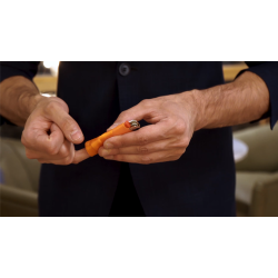 Color Extraction by Vernet Magic 