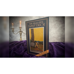 The Real-Life Tarot Deck by David Regal 