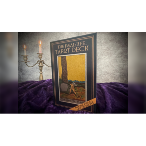 The Real-Life Tarot Deck by David Regal 