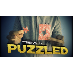 Puzzled by Tybbe Master video DOWNLOAD