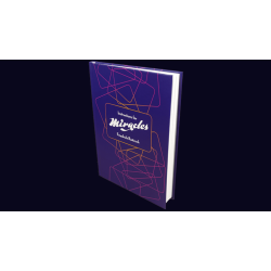 Instructions for Miracles by Friedrich Roitzsch 