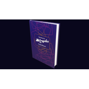 Instructions for Miracles by Friedrich Roitzsch 