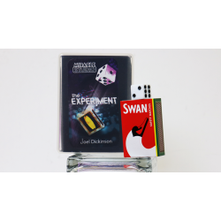 THE EXPERIMENT by Joel Dickinson