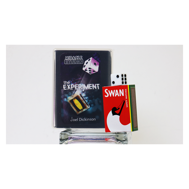 THE EXPERIMENT by Joel Dickinson