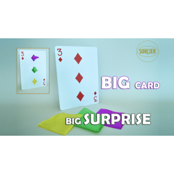 BIG CARD - BIG SUPRISE by Sorcier