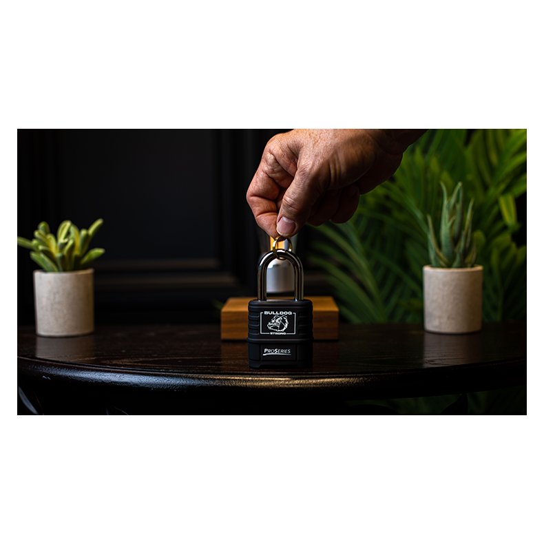 Sure Lock by James Kellogg Jr.