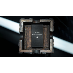 Mesika Ring Flight by Yigal Mesika