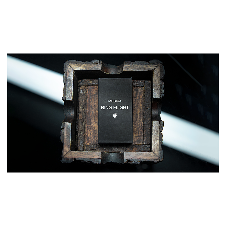 Mesika Ring Flight by Yigal Mesika