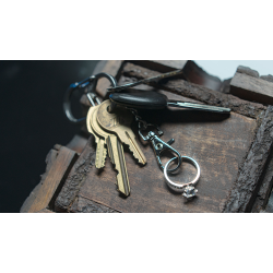 Mesika Ring Flight by Yigal Mesika