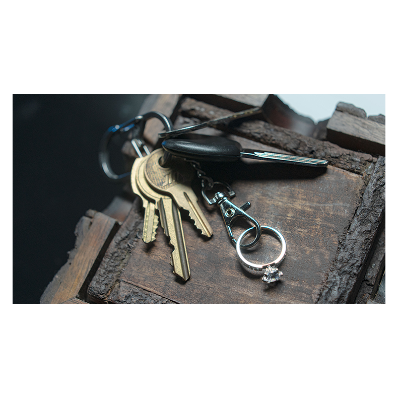 Mesika Ring Flight by Yigal Mesika