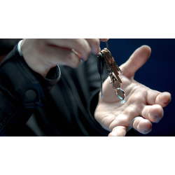 Mesika Ring Flight by Yigal Mesika