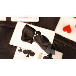 Handkerchief Illusion by TCC