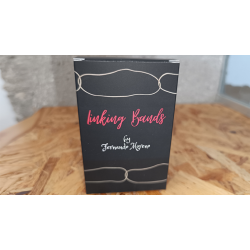 Linking Bands by Fernando Moreno