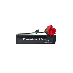 Rainbow Rose by JL Magic