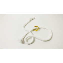 Gemini Ring Brass by Chazpro