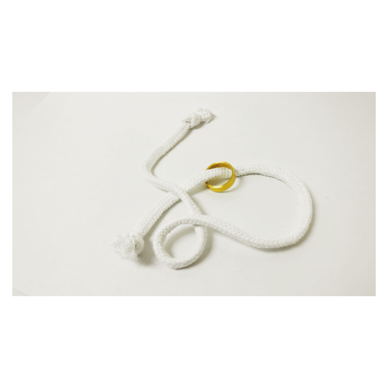 Gemini Ring Brass by Chazpro