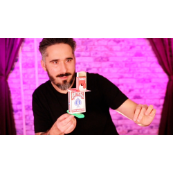 XX PINNACLE by Joel Dickinson