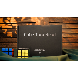 CUBE THRU HEAD - David Penn