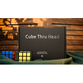 CUBE THRU HEAD - David Penn