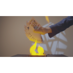 Inflamed by Bond Lee