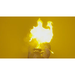 Inflamed by Bond Lee