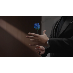 Eternal Rose by Bond Lee