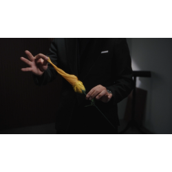 Eternal Rose by Bond Lee