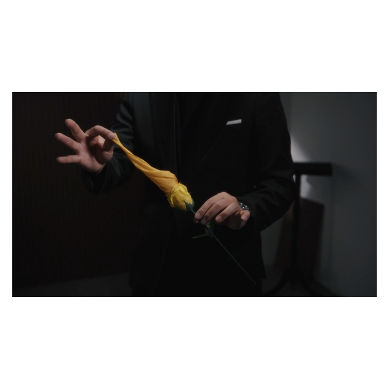 Eternal Rose by Bond Lee