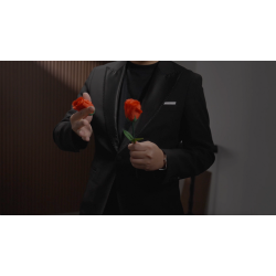 Eternal Rose by Bond Lee