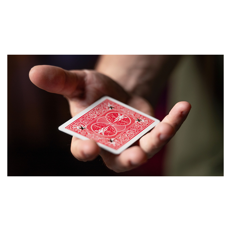 Ink-Redible X by Nicholas Dakin