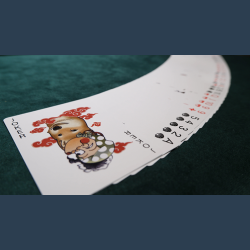 Akita Playing Cards by Blue Moon Co