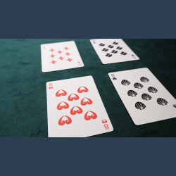 Akita Playing Cards by Blue Moon Co