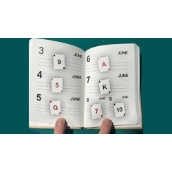 LS Diary by Leo Smetsers 