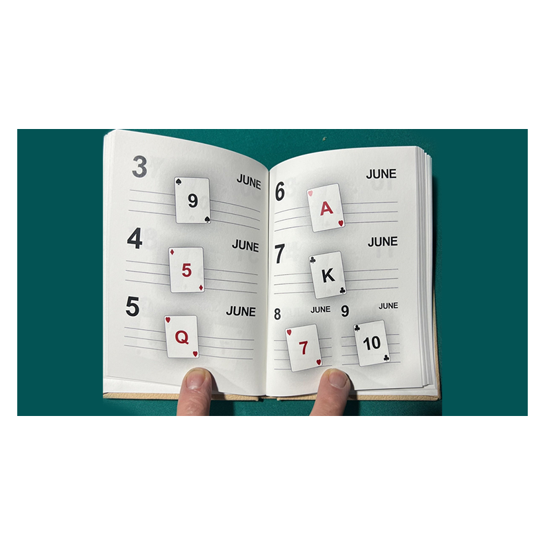 LS Diary by Leo Smetsers 