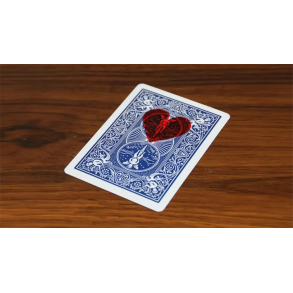 Love Transfer by N2G and WZ