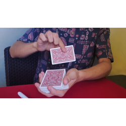 TRAVELER'S SIGNATURE by Anthony Vasquez -download